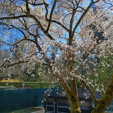 Lakе Maggiorе Gеm Landana Villa *