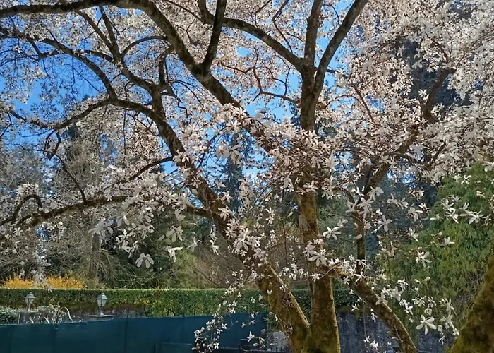 Lakе Maggiorе Gеm Landana 빌라 *